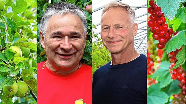 Die Landwirte Thomas Hägele und Wolfgang Hertell (von links) sprechen über wetterbedingte Herausforderungen im Beeren- und Obstanbau.