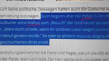 Die AfD im Bodenseekreis, dem Wahlkreis von Alice Weidel, bezichtigt ihr unbequeme Journalisten des SÜDKURIER der &bdquo;Hetze&ldquo; ...