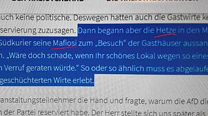 Die AfD im Bodenseekreis, dem Wahlkreis von Alice Weidel, bezichtigt ihr unbequeme Journalisten des SÜDKURIER der &bdquo;Hetze&ldquo; ...
