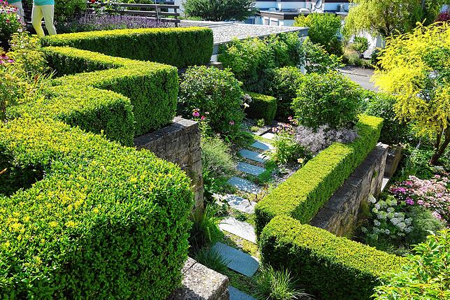 Theresia Wehrle hat aus ihrem Hanggrundstück am Burgberg einen strukturierten Terrassengarten gemacht.