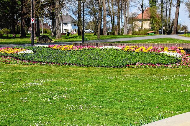 Bild 7: So kunstvoll blüht es in den Beeten: Ein Rundgang durch den Stockacher Stadtgarten