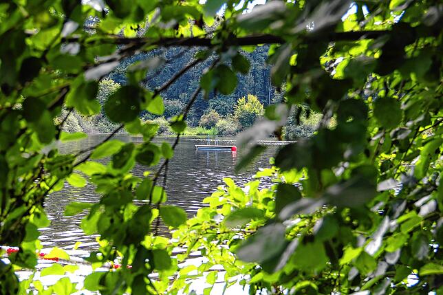 Blick auf die Badeinsel im Güttinger See.