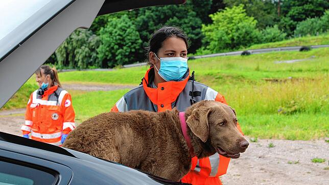 Helfer auf vier Pfoten: Die Rettungshunde samt Hundeführern freuen sich über das erste Training.