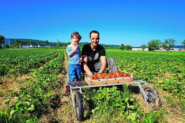 Clemens Stoll und sein Sohn Matheo freuen sich im Mai 2020 über einen guten Start in die Erdbeersaison. Der Preis für die Erdbeere sei ...