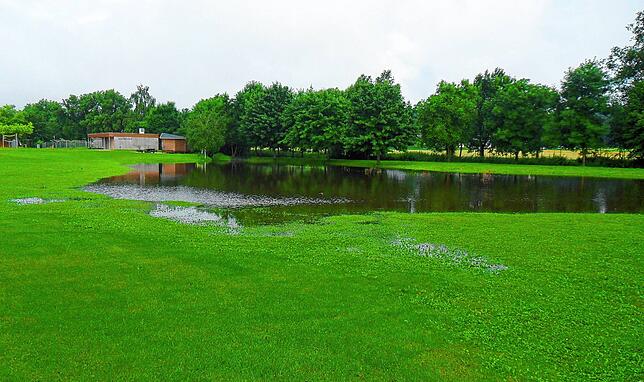 Bild 12: Bilder vom Hochwasser im Landkreis Sigmaringen: Sentenhart, Wald und Walbertsweiler unter Wasser