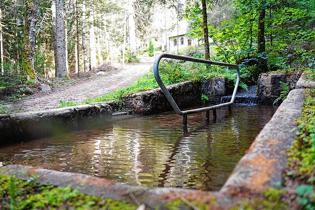 Die verwunschene Kneipp-Anlage im Sägenloch bei Schonach ist auf dem Waldweg von Schonach kommend kurz vor der Laubwaldkapelle (der ...