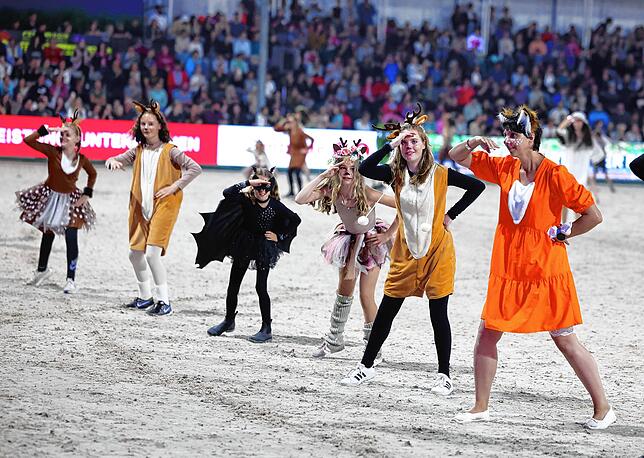 Das Pferdeparadies Haug hat 150 Aktive am Start beim Showabend auf dem Reitzentrum Frese.