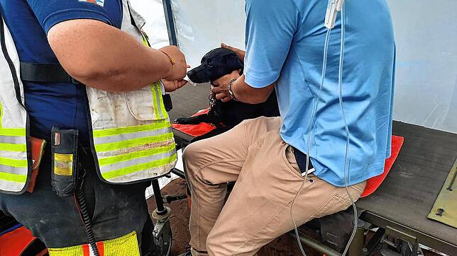 Bild : Hilfe zwischen Trümmern: Die Tierrettung Südbaden war in den Hochwasser-Krisengebieten im Einsatz