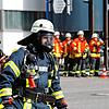 Bild :