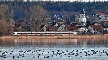 Wasservögel auf dem See vor Markelfingen. Das Regierungspräsidium plant eine Naturschutzgebietsausweitung im Markelfinger Winkel und ...