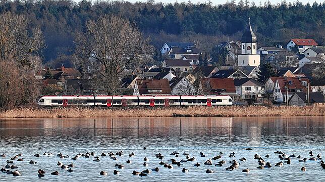 Wasservögel auf dem See vor Markelfingen. Das Regierungspräsidium plant eine Naturschutzgebietsausweitung im Markelfinger Winkel und ...