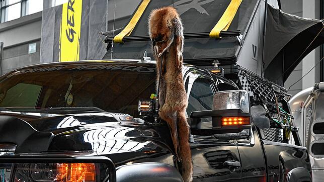 Bild 11: Tuning World Bodensee lockt Tausende Besucher – Teil 3