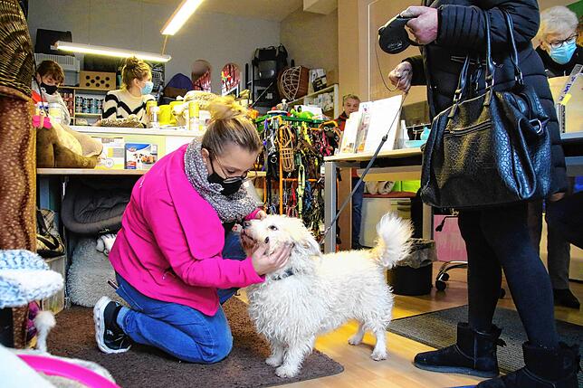 Kuscheln und Leckerlis: Auch das gibt es für die vierbeinigen Gäste in der Düsseldorfer Tiertafel.