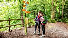 Bild : Wandern im Hegau: Kommen Sie mit auf den Albertine Steig - mit Karte!
