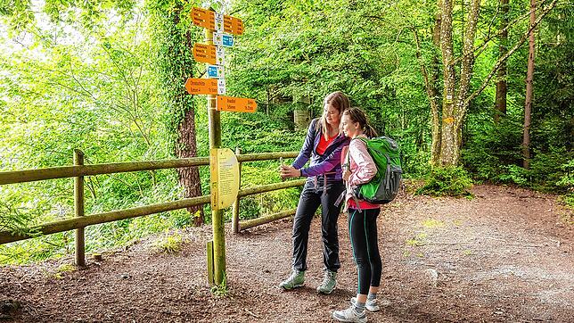 Bild : Wandern im Hegau: Kommen Sie mit auf den Albertine Steig - mit Karte!