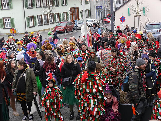 Bild 9: Bilder vom Schmotzigen in Hilzingen: Fasnacht 2025 mit buntem Treiben!