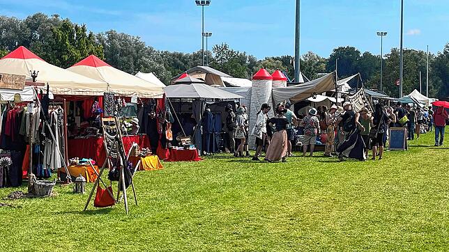 Blick über das Gelände des Festivals in Aach. Im Zelt eines Goldschmieds bediente sich dort ein Krimineller.