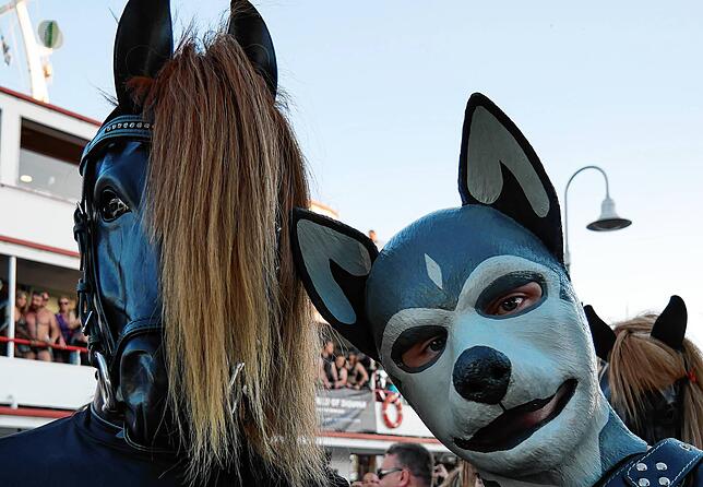 Hund und Pferd in trauter Zweisamkeit.