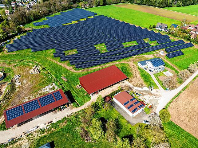 Ein Beispiel für Diskussionen innerhalb der AfD ist die Freiflächenphotovoltaik, wie hier im Zollhaus, auf bisher landwirtschaftlich ...