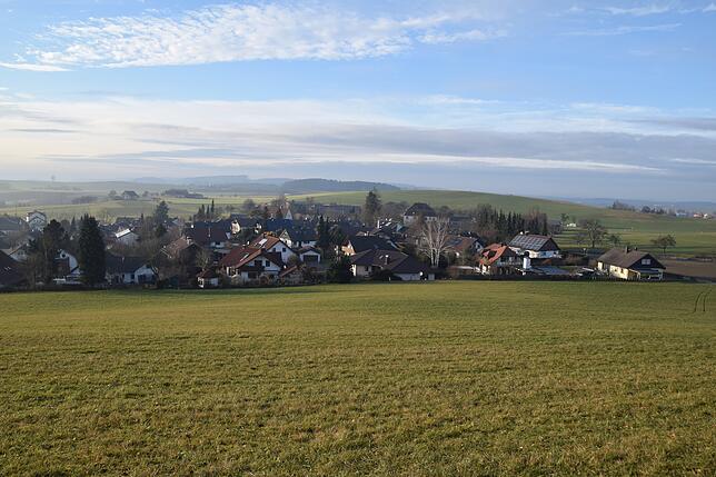 Der Blick vom Josenberg auf Kalkofen. Die Bodenwellen am Hang weisen laut den Anwohner darauf hin, dass dieser rutschen kann.