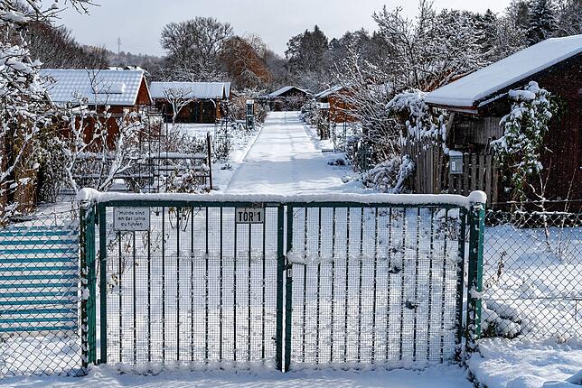 Ein verschneiter Schrebergarten im Warenbachtal.
