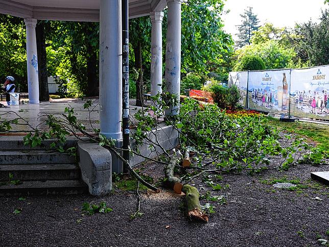Bild 15: Bodensee: Fotos vom schweren Unwetter und den Schäden!