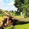 Der Hofgarten in Meßkirch ist wegen akuter Lebensgefahr gesperrt.