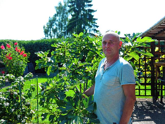 Rene Dittrich und der Feigenbaum, der endlich gedeiht.