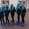 Bild :