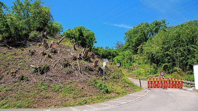 Der Riedmattenhöhlenweg ist gesperrt, einige Bäume wurden entfernt.