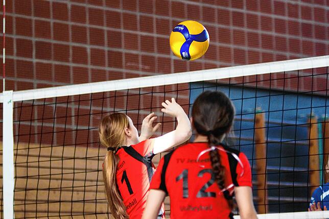 Bild 7: U14-Volleyballerinnen qualifizieren sich für baden-württembergische Meisterschaften