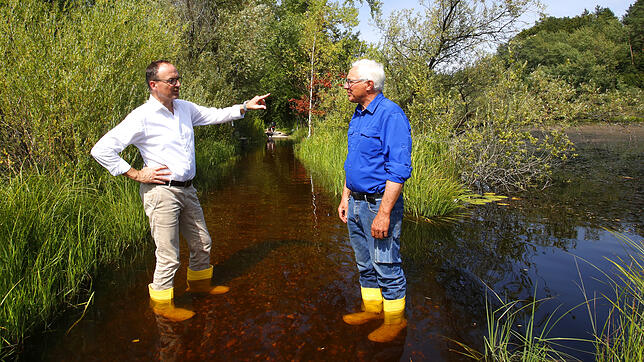 Vor-Ort-Termin im August 2021: Der Weg, der den Dingelsdorfer Weiher quasi zweiteilt, stand vielfach unter Wasser. Oberbürgermeister Uli ...
