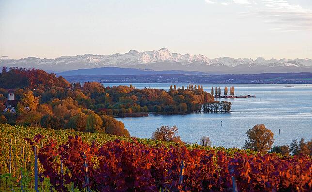 Die Alpen erscheinen zum Greifen nah. Bei Schönwetterlagen ergeben sich dank des Föhns atemberaubende Bergpanoramen am Bodensee. Hier im ...