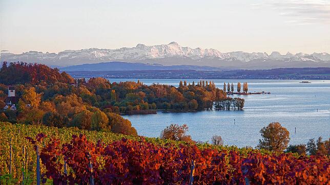 Die Alpen erscheinen zum Greifen nah. Bei Schönwetterlagen ergeben sich dank des Föhns atemberaubende Bergpanoramen am Bodensee. Hier im ...