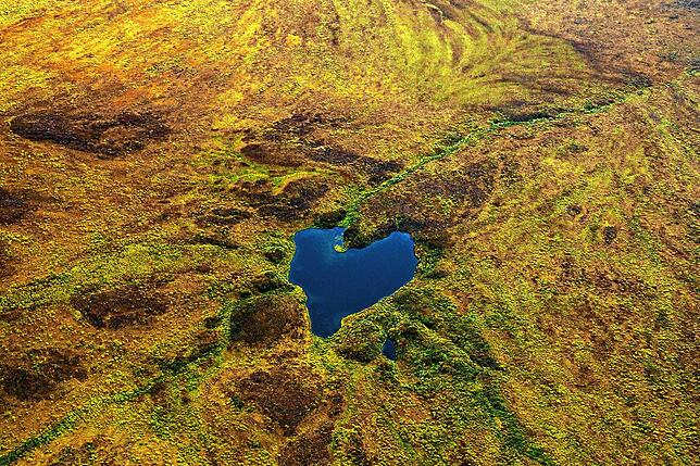 Der Umweltaktivist Markus Mauthe zeigt als Naturfotograf die Welt im Wandel.