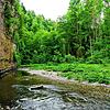 In sensiblen Uferbereichen der Wutachschlucht reagiert die Tierwelt besonders empfindlich auf Besucher, die unerlaubt den Weg dorthin ...