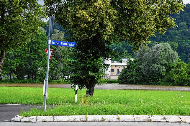 Im Hintergrund ist die Wiese bei der Kläranlage zwischen Bodman und Espasingen zum See geworden.