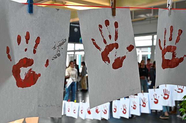 In der Aula des Friedrich-Hecker-Gymnasiums in Radolfzell fand am 9. März 2023 wieder eine von den Schülern organisierte Aktion im ...