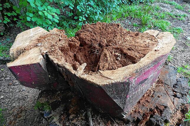 Nicht mehr zu reparieren war die Skulptur „Die Rote“, Innerlich war das Zedernholz verfault und die drei Meter hohe Figur ...
