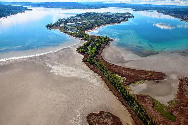 Insel Reichenau bei Niedrigwasser im April 2025. Hinten im Bild sind Gewächshäuser zu sehen.