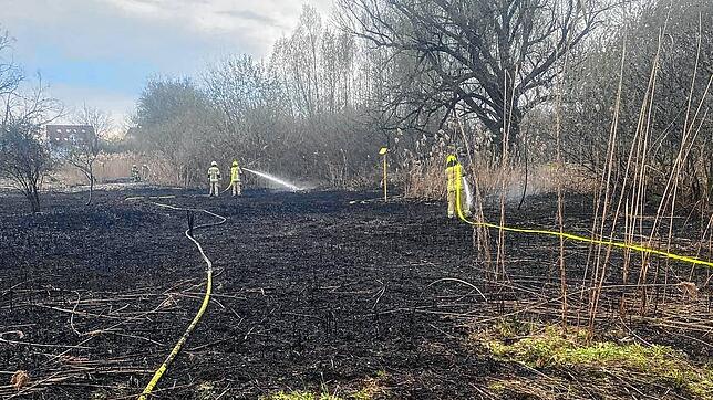 Feuerwehrleute der Hauptamtlichen Wache sowie aus Wollmatingen, Petershausen und Litzelstetten kämpfen am Samstagnachmittag, 12. April, ...