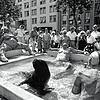 Seelöwe Adolf aus dem &bdquo;Connyland&ldquo; badete Ende Juli 1990, kurz nach Eröffnung des Brunnens, ebenfalls eine halbe Stunde im ...