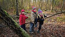 Waldkindergärten liegen derzeit im Trend. Jetzt soll solch eine Einrichtung auch in Häusern entstehen. Symbolbild: Thomas Frey, dpa