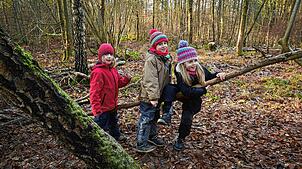 Waldkindergärten liegen derzeit im Trend. Jetzt soll solch eine Einrichtung auch in Häusern entstehen. Symbolbild: Thomas Frey, dpa