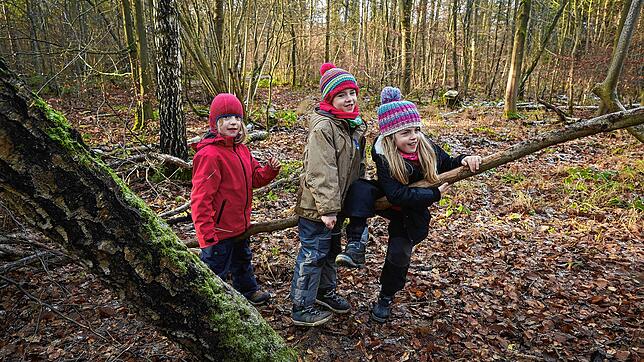 Waldkindergärten liegen derzeit im Trend. Jetzt soll solch eine Einrichtung auch in Häusern entstehen. Symbolbild: Thomas Frey, dpa