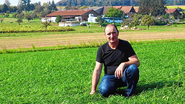Hubert Schönenberger zeigt einen Teil der Fläche, auf der Berufskollegen für seine Tiere Welsches Weidelgras angebaut haben. Mit diesem ...