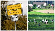 Schüsse in Konstanz und Storchenärger in Hohenfels: Das hat die Region in dieser Woche bewegt.