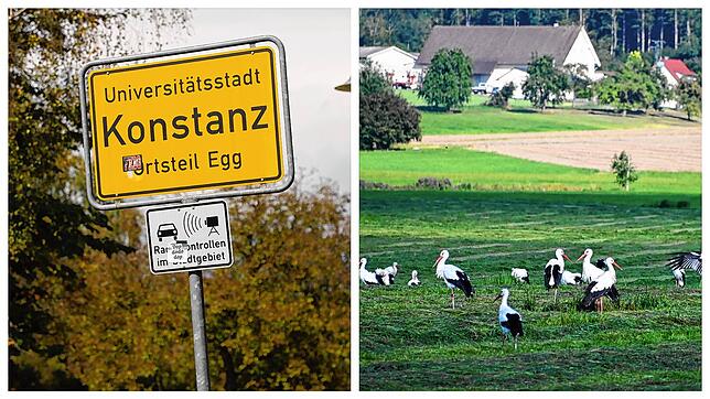 Schüsse in Konstanz und Storchenärger in Hohenfels: Das hat die Region in dieser Woche bewegt.