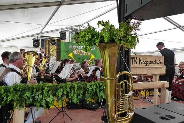 Bild 3: Bezirksmusikfest in Riedern am Wald - Musikverein feiert 160-jährige Jubiläum