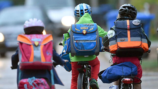 Im Straßenverkehr muss sich jeder an Regeln halten - für Kinder ist das Lernen dieser Regeln besonders wichtig. (Symbolbild)